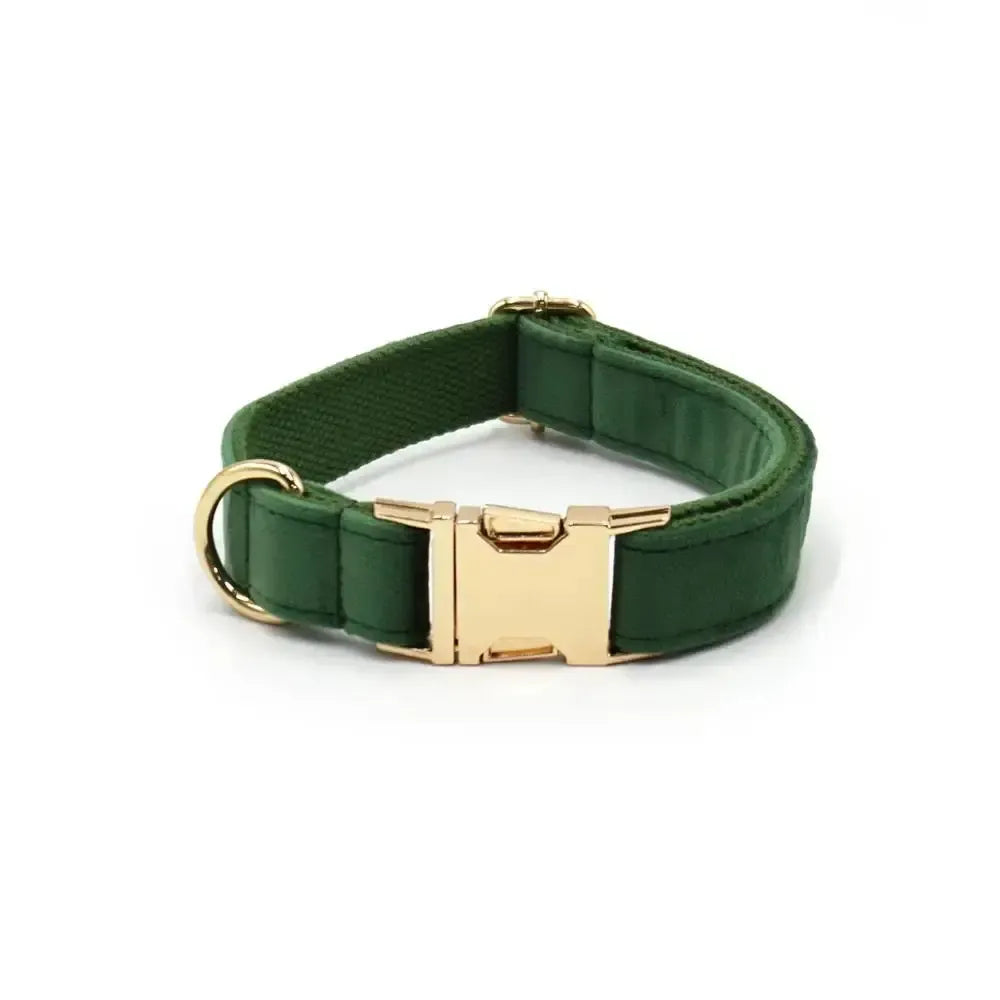 Emerald Green Velvet Dog Collar