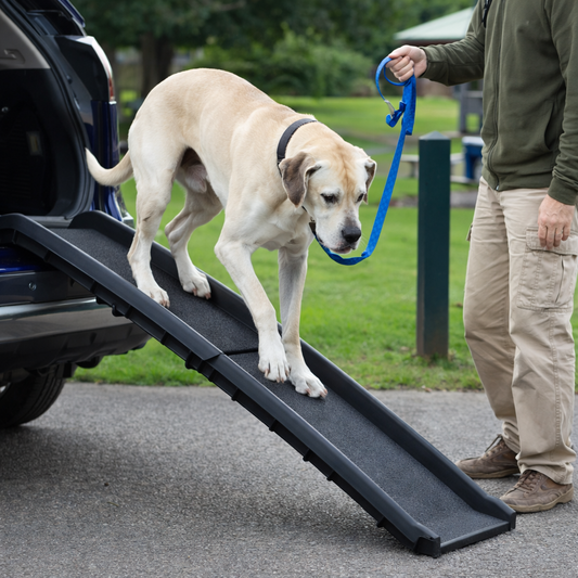 Foldable Dog Ramp for Cars & SUVs
