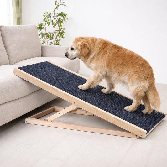 Foldable Wooden Dog Ramp for Large & Older Dogs