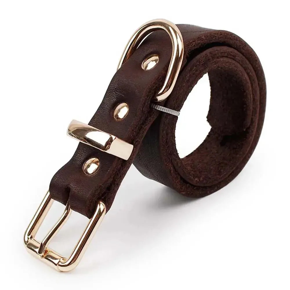 Genuine Leather Dog Collar