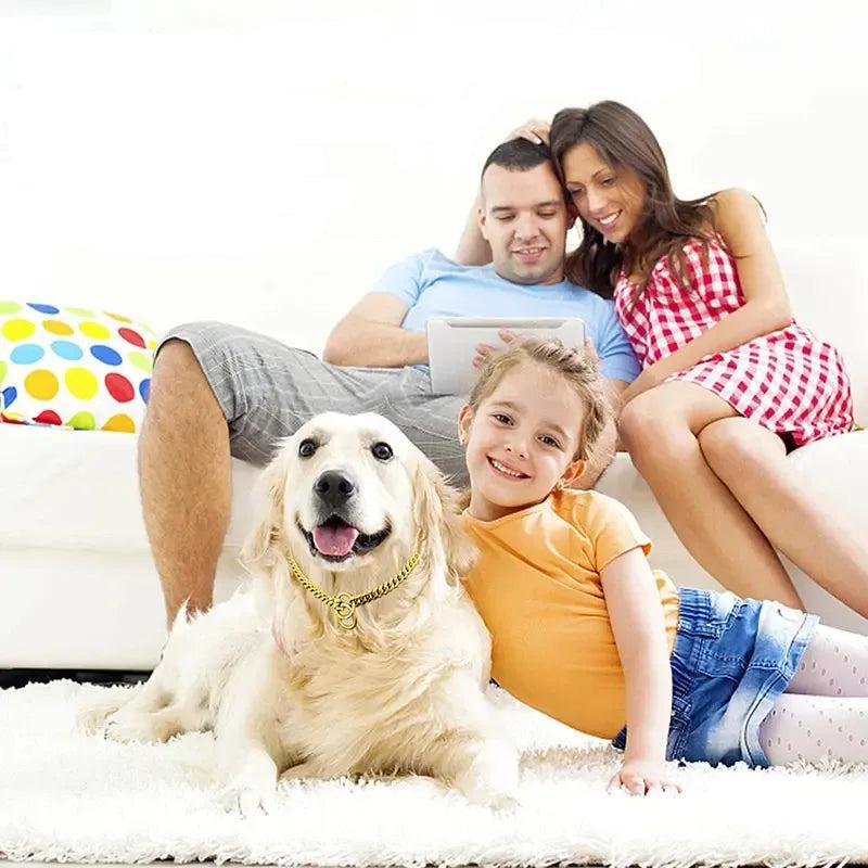 Gold Chain Dog Collar for Strong Dogs – Stainless Steel