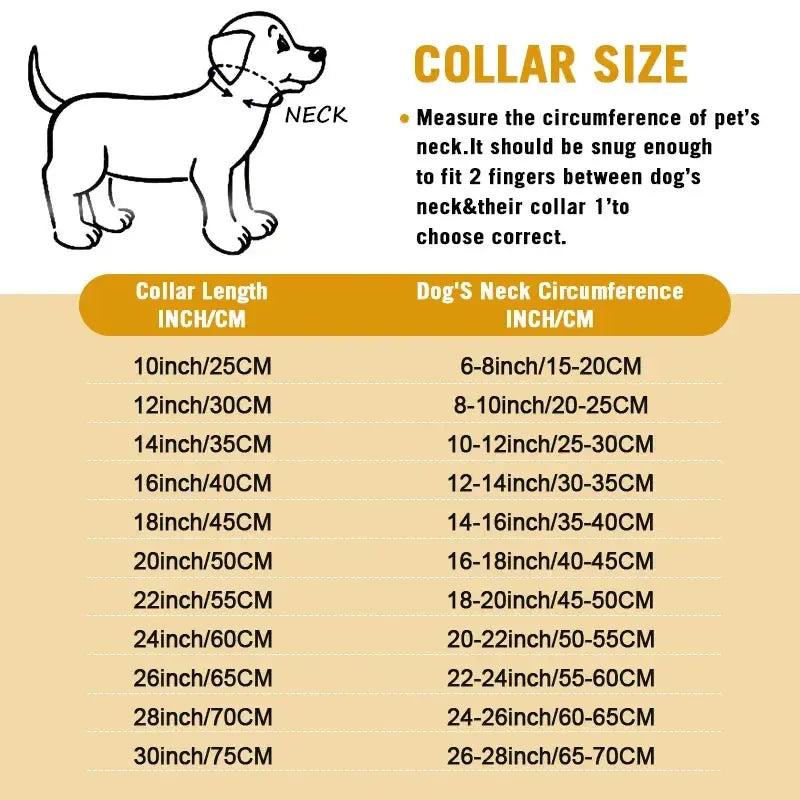 Gold Chain Dog Collar for Strong Dogs – Stainless Steel
