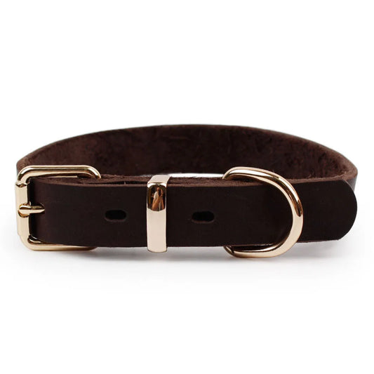 XL Genuine Leather Dog Collar | Premium & Durable