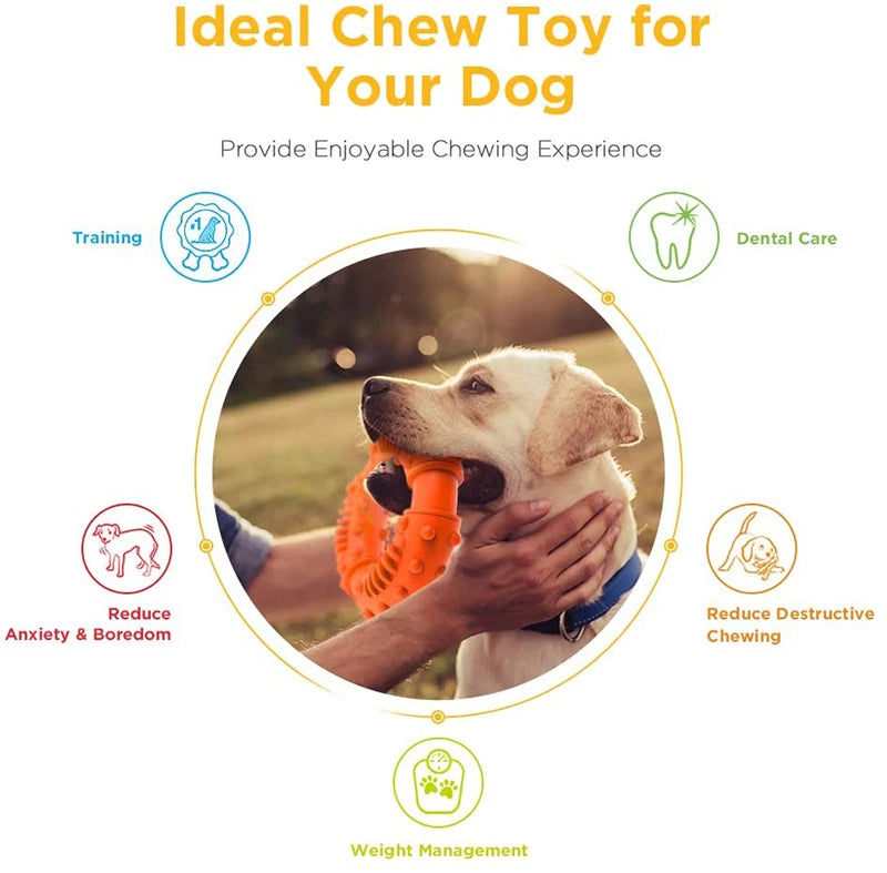 Heavy Duty Dog Chew Toy for Aggressive Chewers