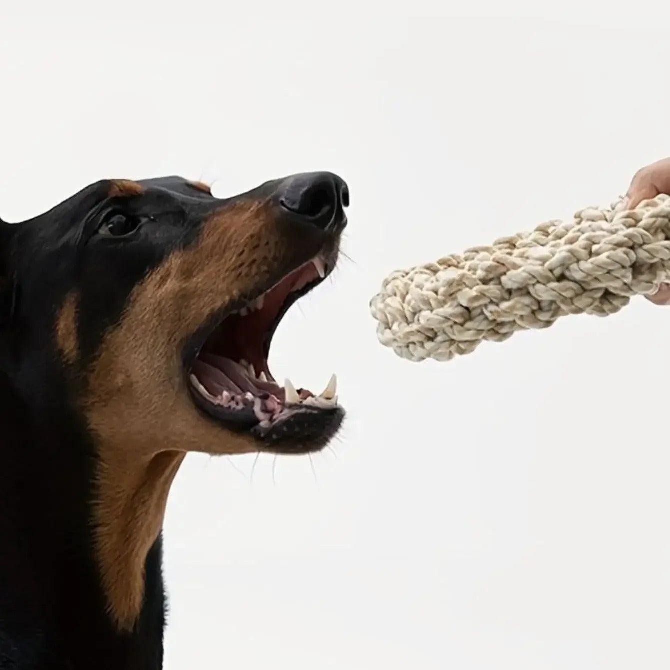 Heavy-Duty Dog Rope Toy for Large Breeds