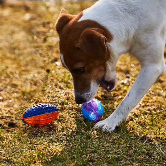 Rugby Ball Squeaky For Small And Medium Dogs