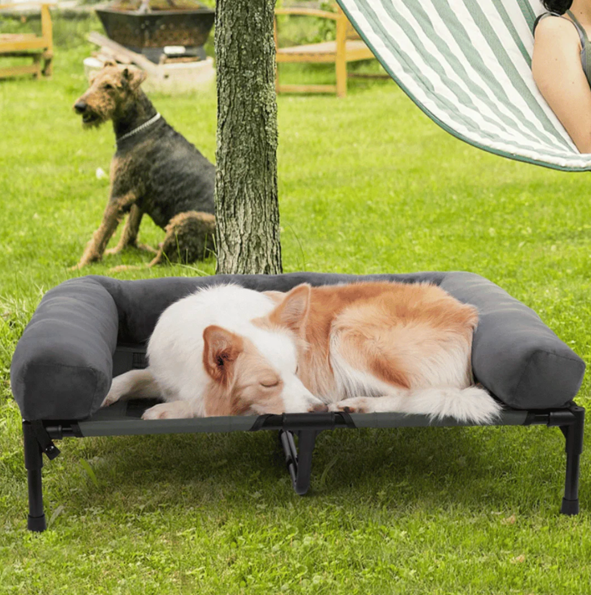Orthopedic Raised Dog Bed with Bolster | Cooling - Washable