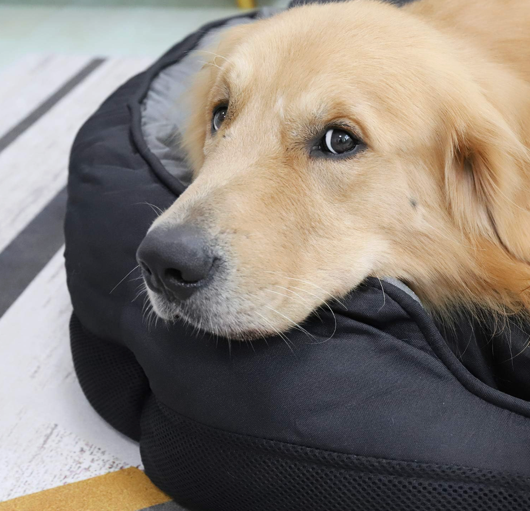 XXL Heavy Duty Orthopedic Dog Bed | Washable