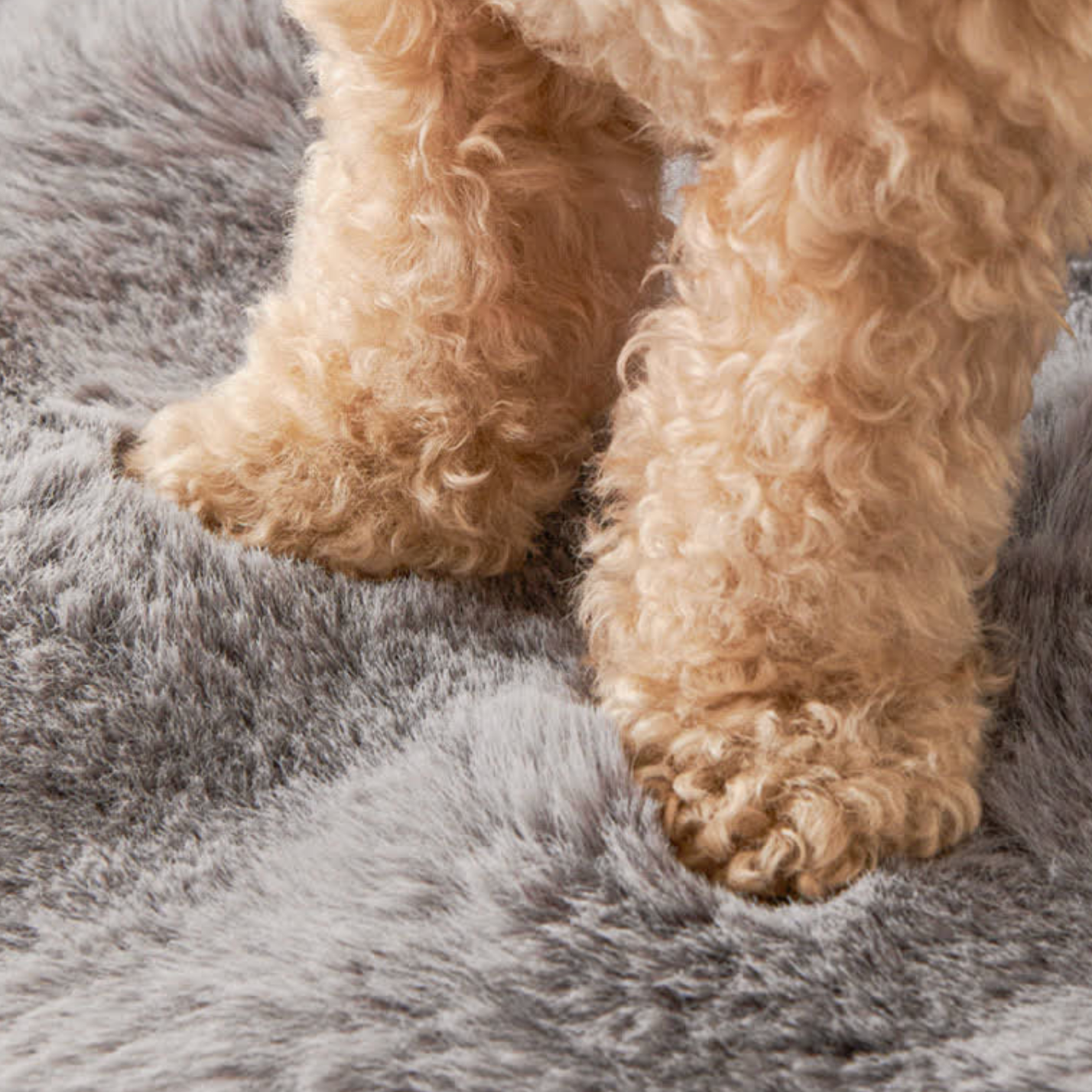 Washable Dog Couch Bed | Waterproof Cover & Anti-Slip Base