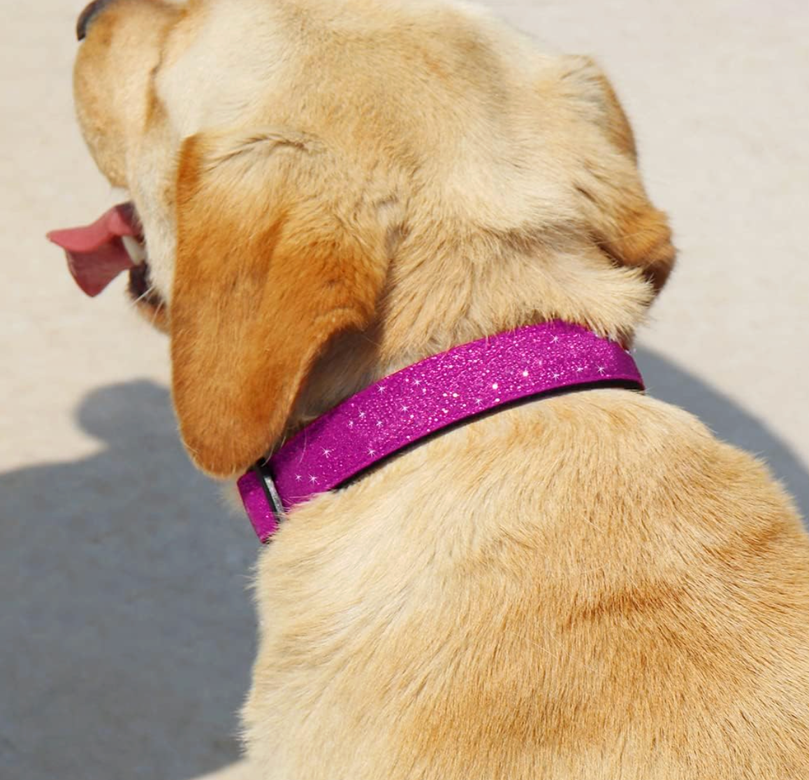 Sparkle Dog Collar | Nylon-Leather, Adjustable, Quick-Release