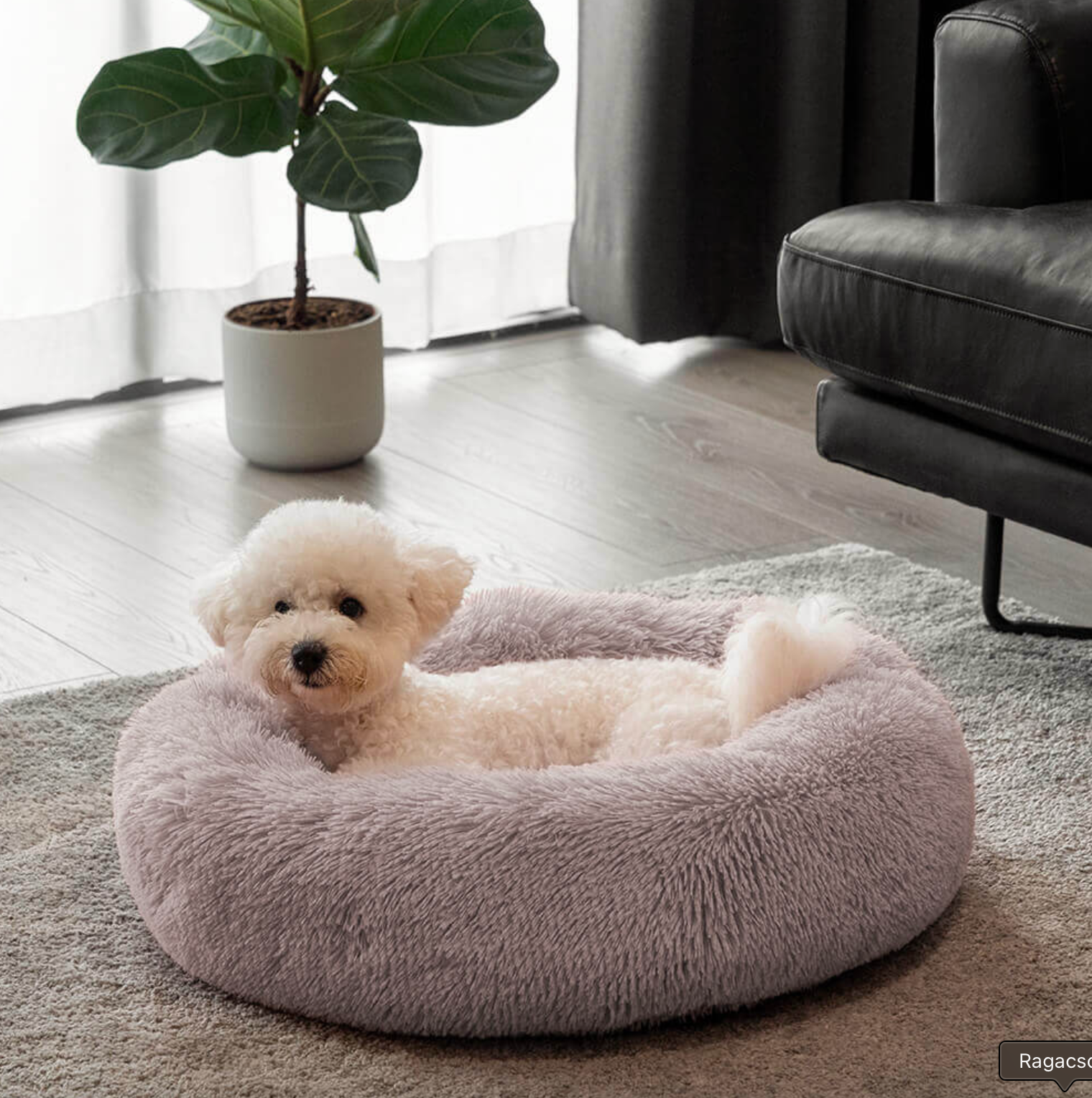 Orthopedic Washable Calming Donut Dog Sofa Bed