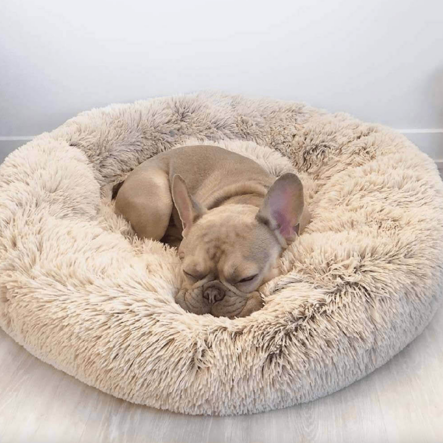 Orthopedic Washable Calming Donut Dog Sofa Bed