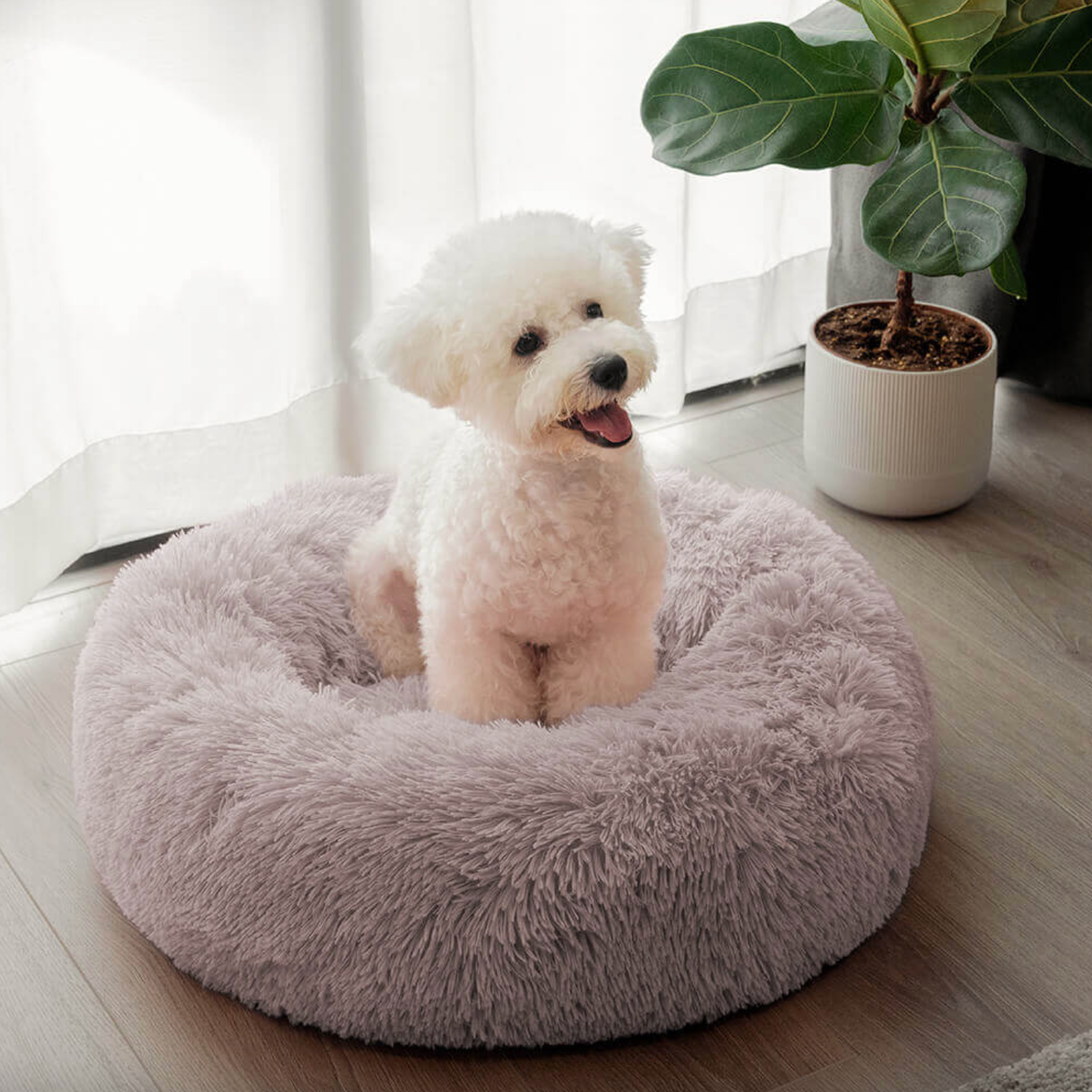 Orthopedic Washable Calming Donut Dog Sofa Bed