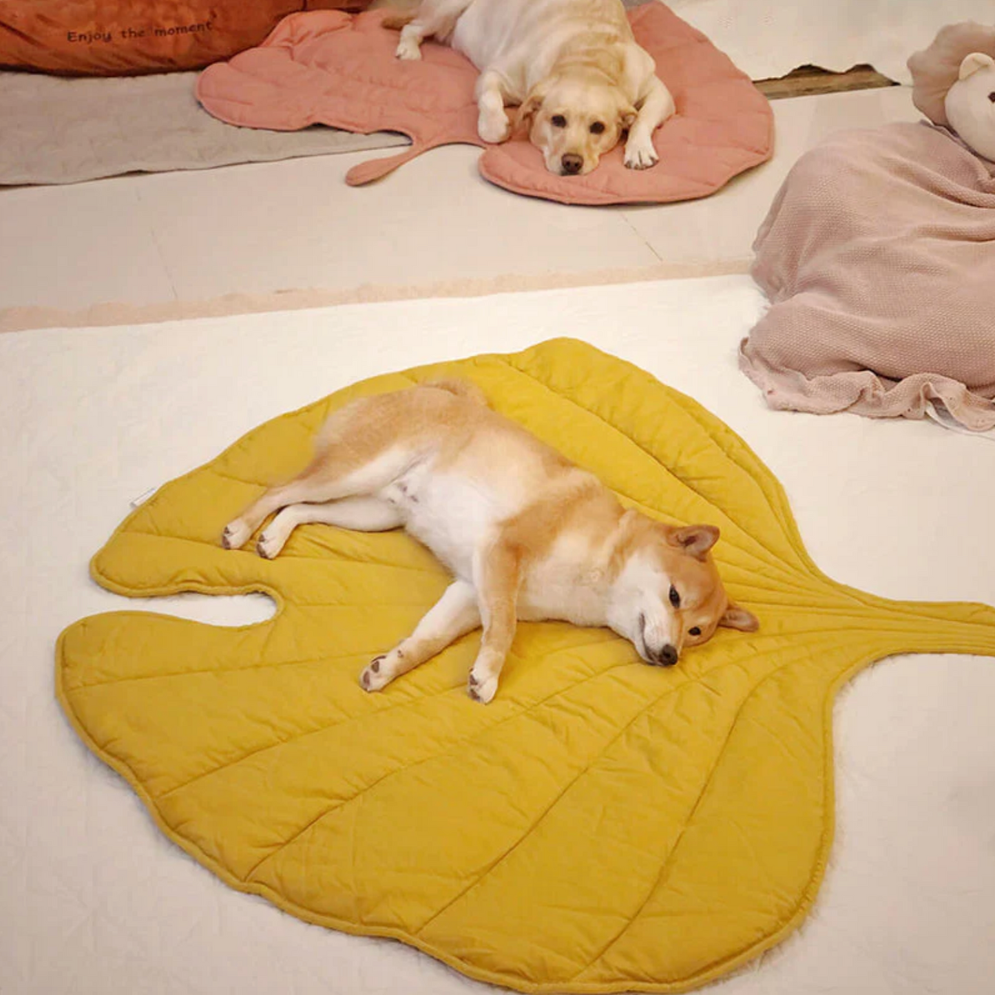 Cooling Leaf Summer Dog Mat