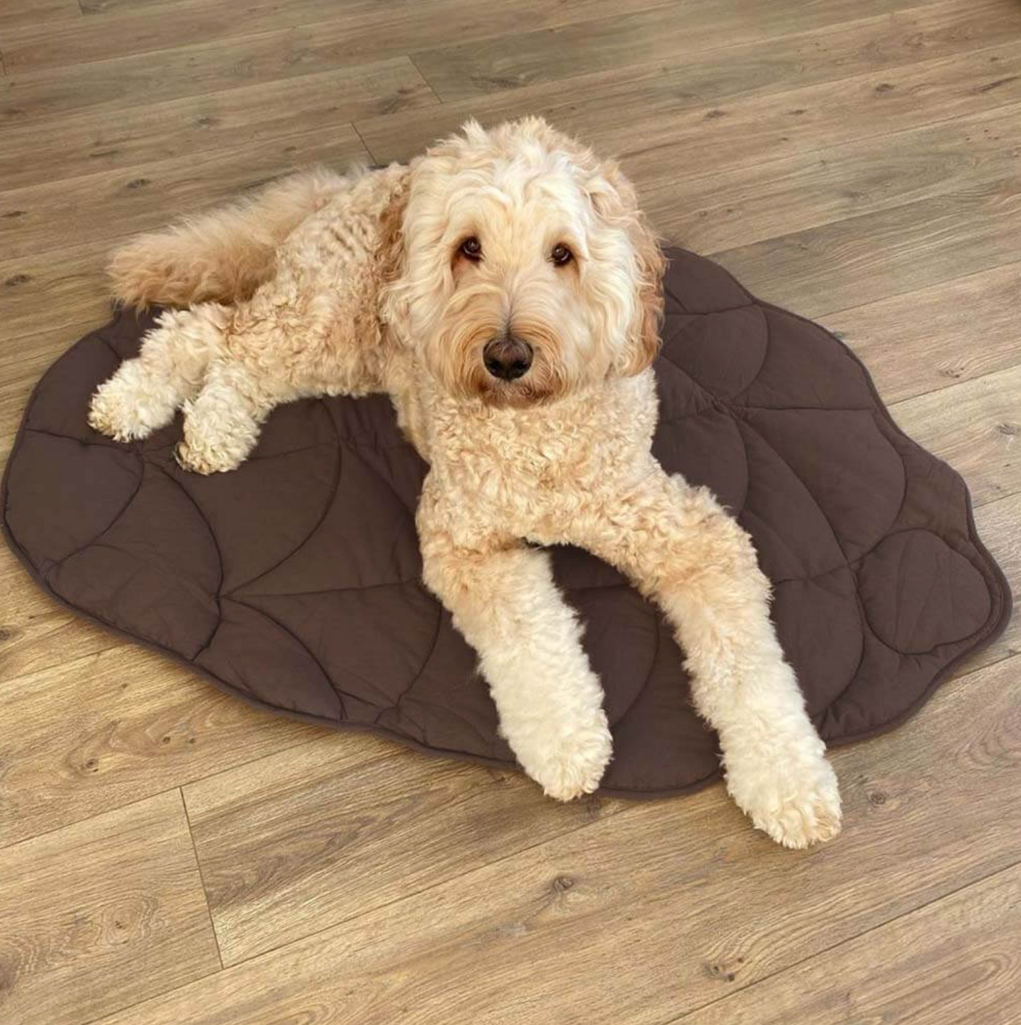 Cooling Leaf Summer Dog Mat