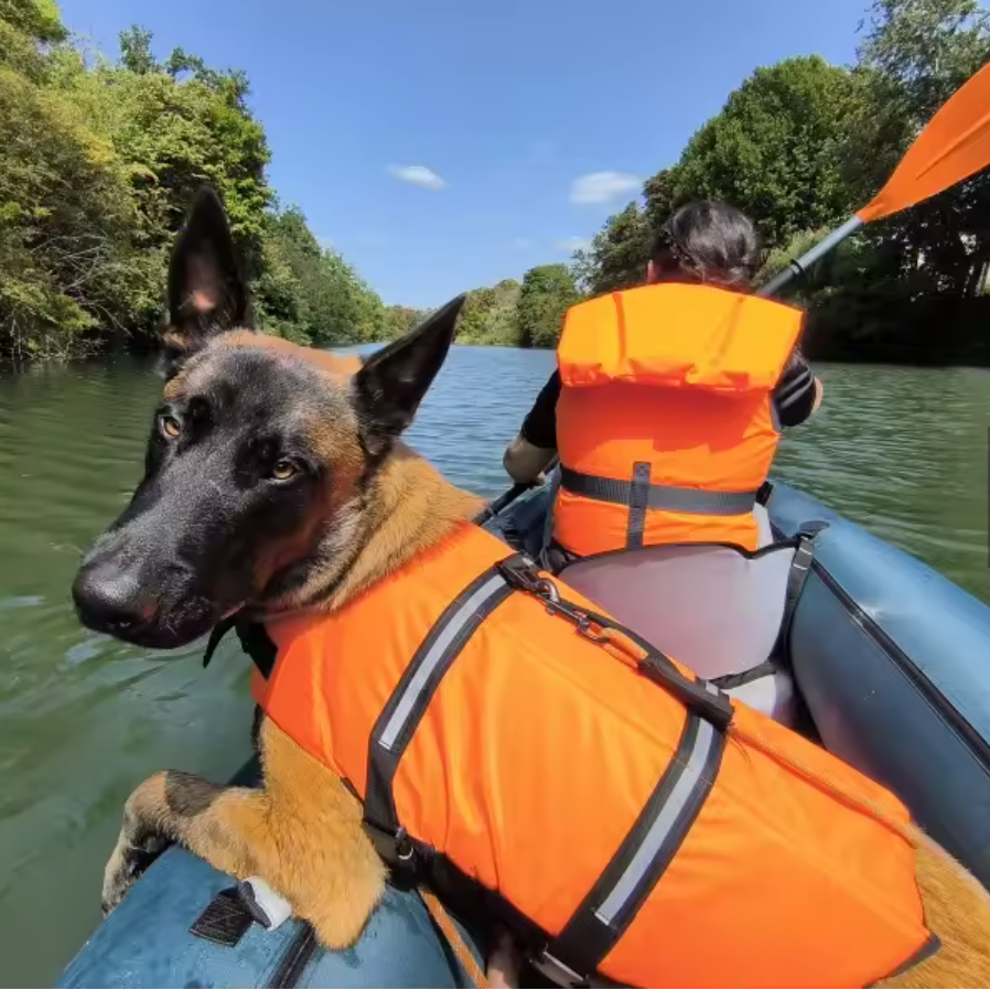 Reflective Dog Swimming Safety Vest