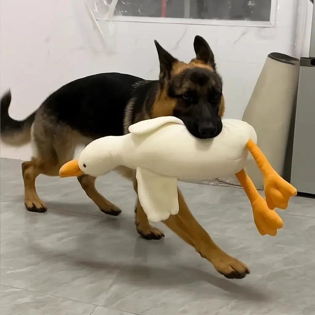 Large Squeaky Duck Dog Toy