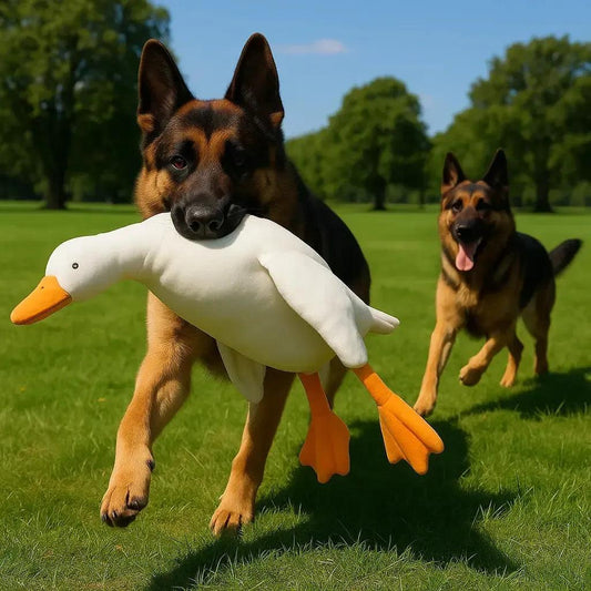 Large Squeaky Duck Dog Toy