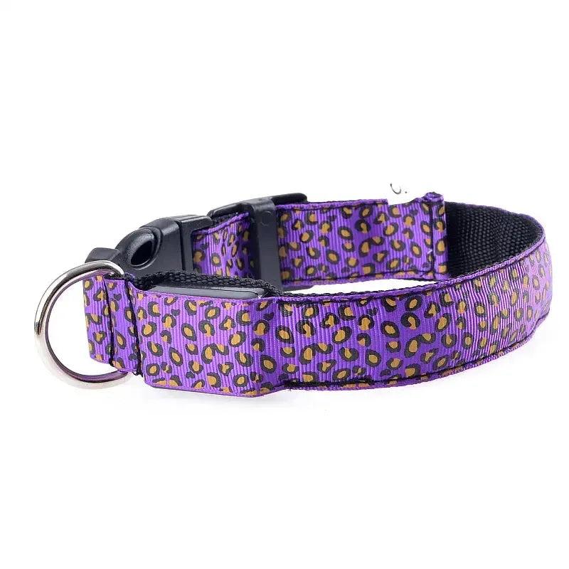 Leopard Print LED Dog Collar – Light Up, Adjustable & Safe
