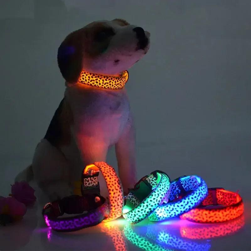 Leopard Print LED Dog Collar – Light Up, Adjustable & Safe