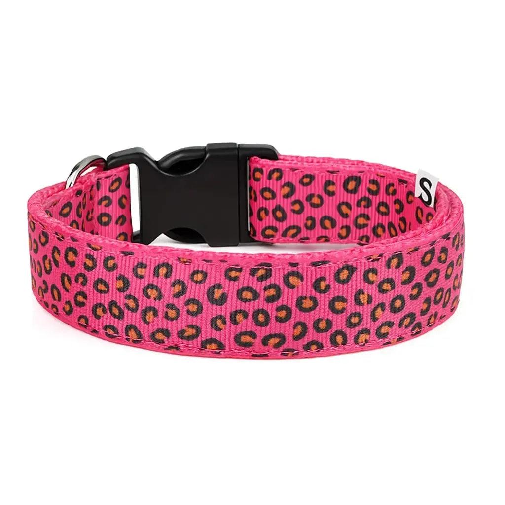 Leopard Print LED Dog Collar – Light Up, Adjustable & Safe