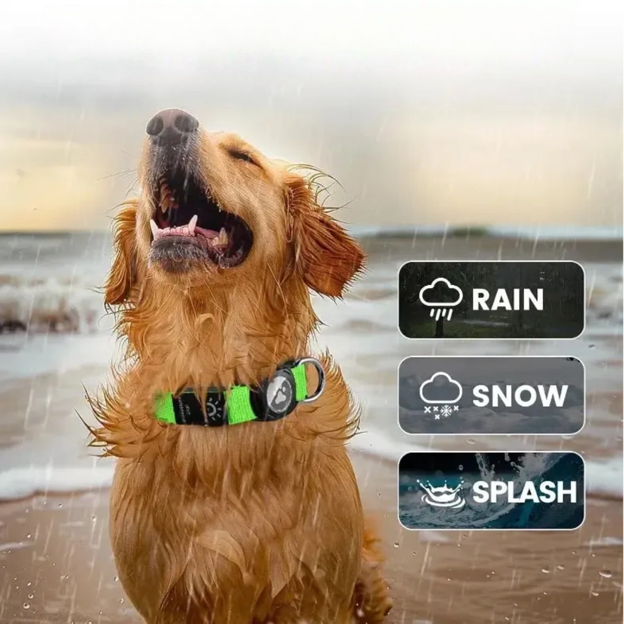 Waterproof Dog Collar with LED Light & Apple AirTag Holder