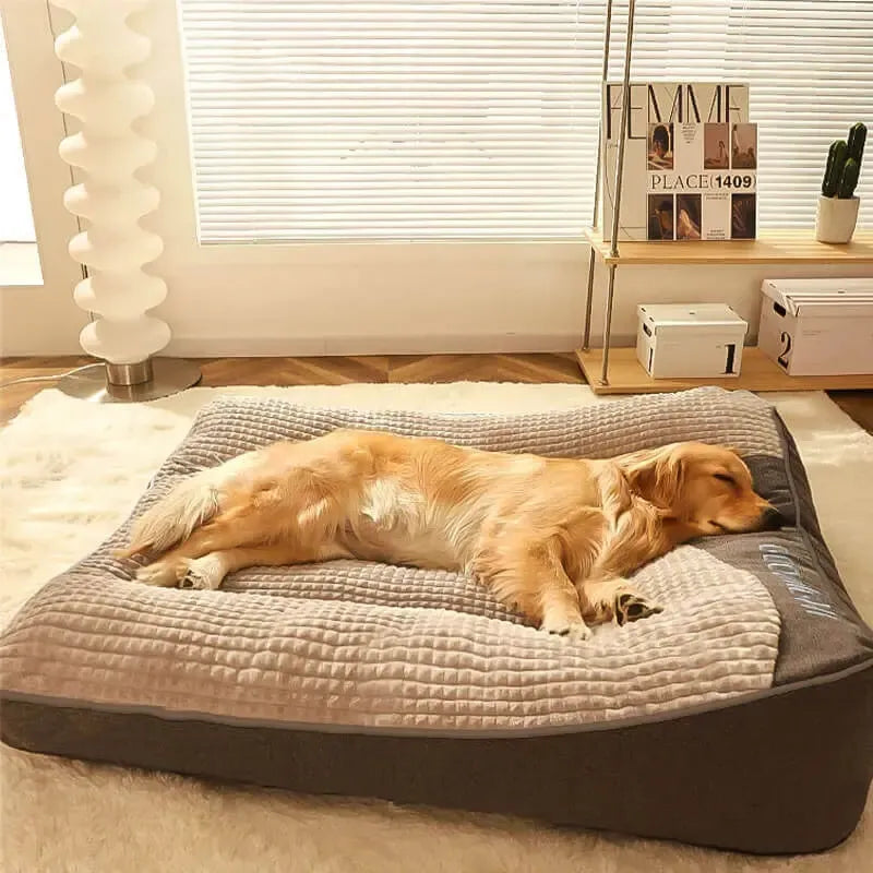 Orthopedic Dog Bed | Extra Large