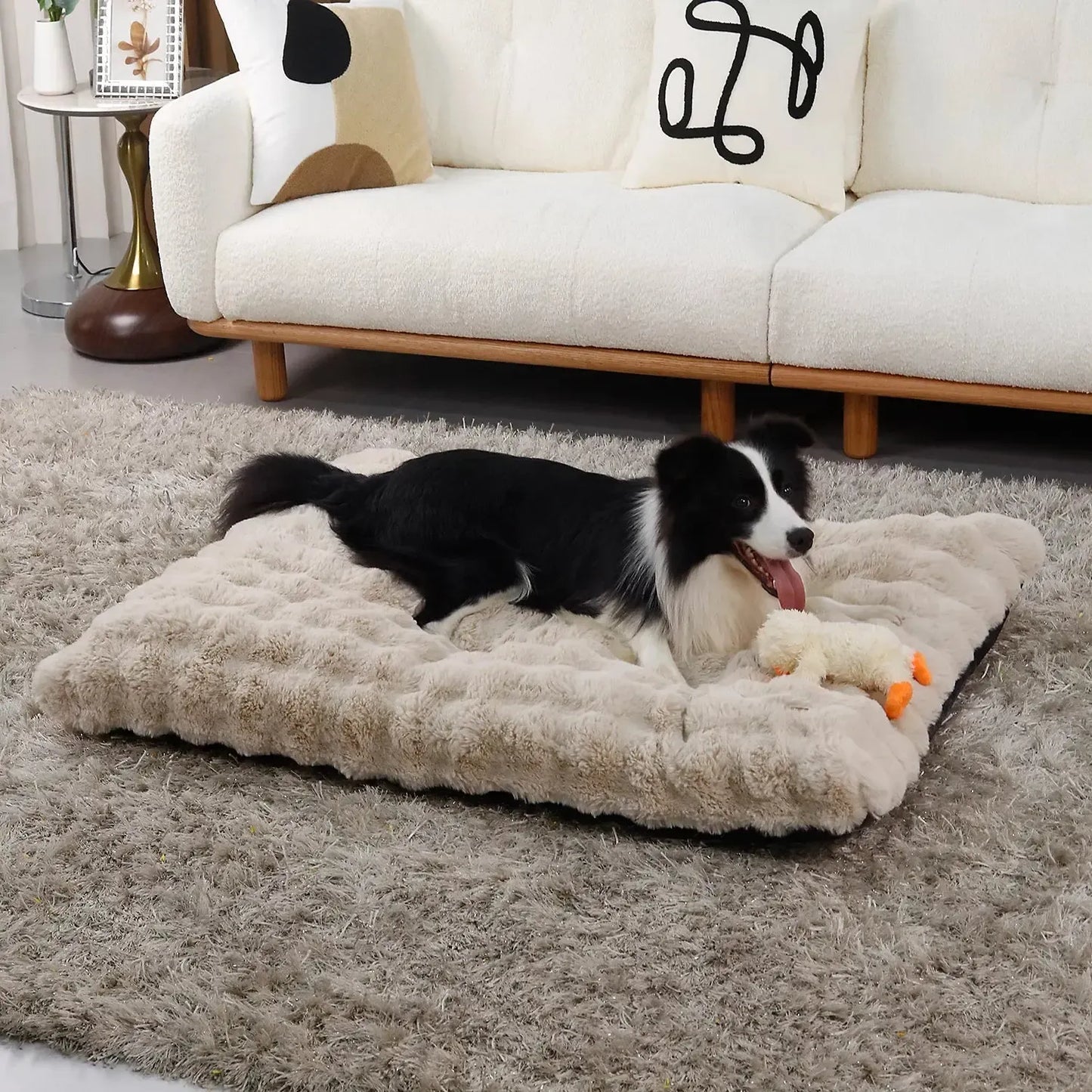 Orthopedic Dog Bed | Ultra Plush Cover for Large & Giant Breeds