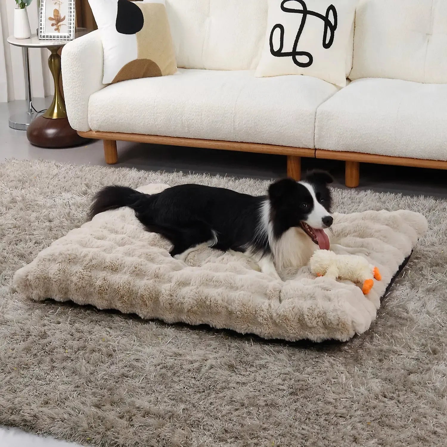 Orthopedic Dog Bed | Ultra Plush Cover for Large & Giant Breeds