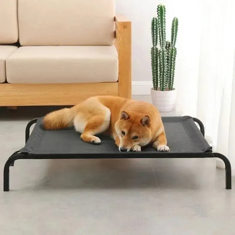 Orthopedic Washable Elevated Waterproof Dog Bed With Mesh Support