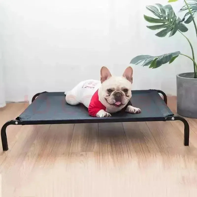 Orthopedic Washable Elevated Waterproof Dog Bed With Mesh Support