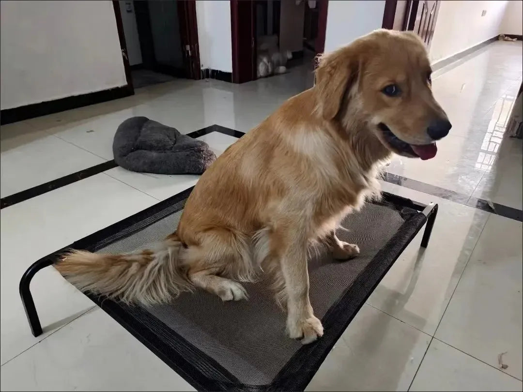 Orthopedic Washable Elevated Waterproof Dog Bed With Mesh Support