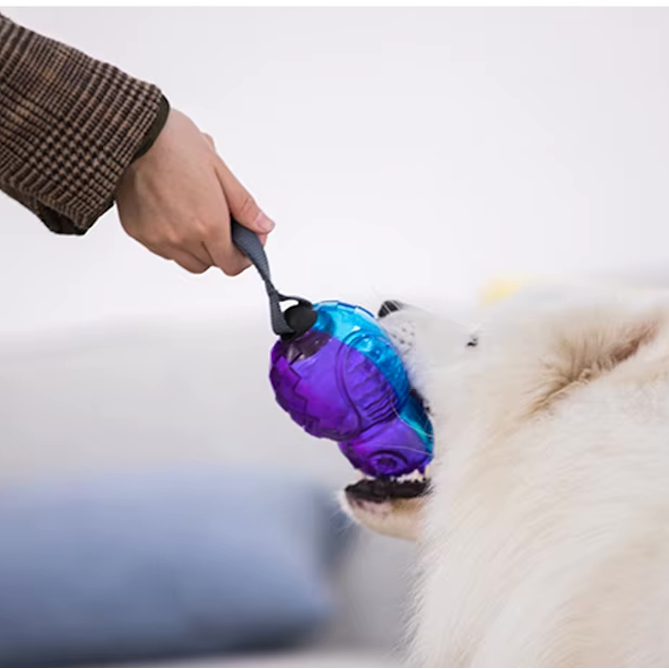 Owl Squeaky Dog Toy With Mute Option