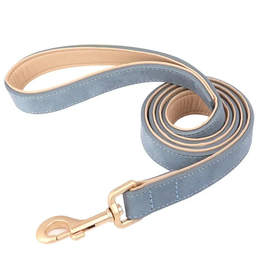 Padded Leather Dog Collar & Leash Stylish Set