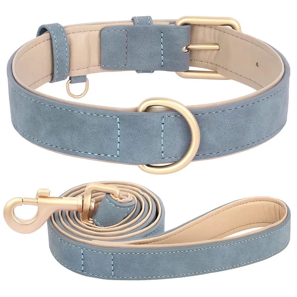 Padded Leather Dog Collar & Leash Stylish Set