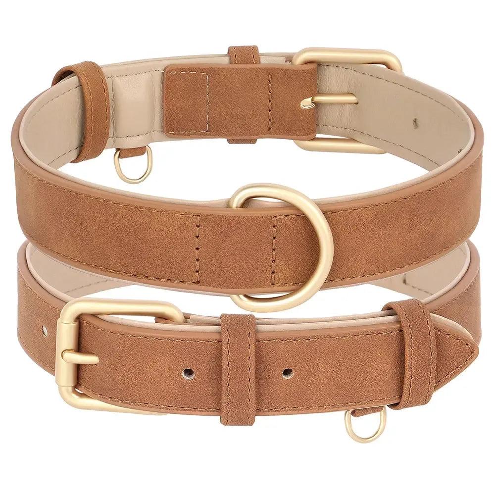 Padded Leather Dog Collar & Leash Stylish Set