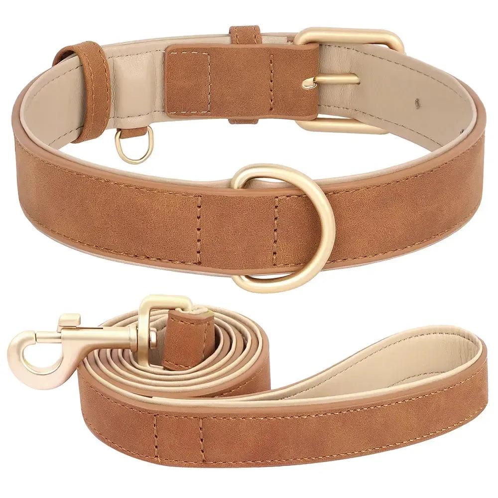 Padded Leather Dog Collar & Leash Stylish Set