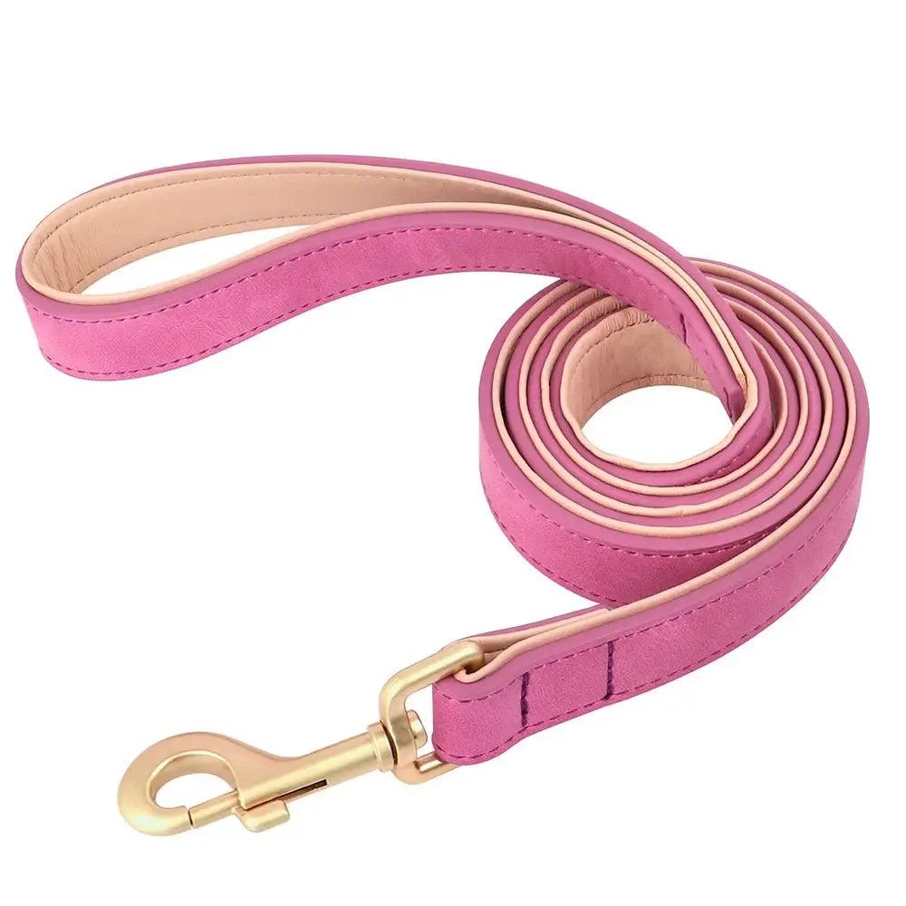 Padded Leather Dog Collar & Leash Stylish Set