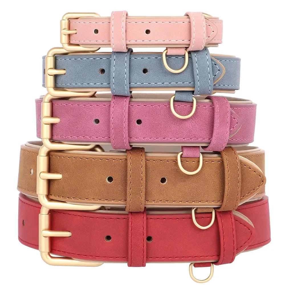 Padded Leather Dog Collar & Leash Stylish Set