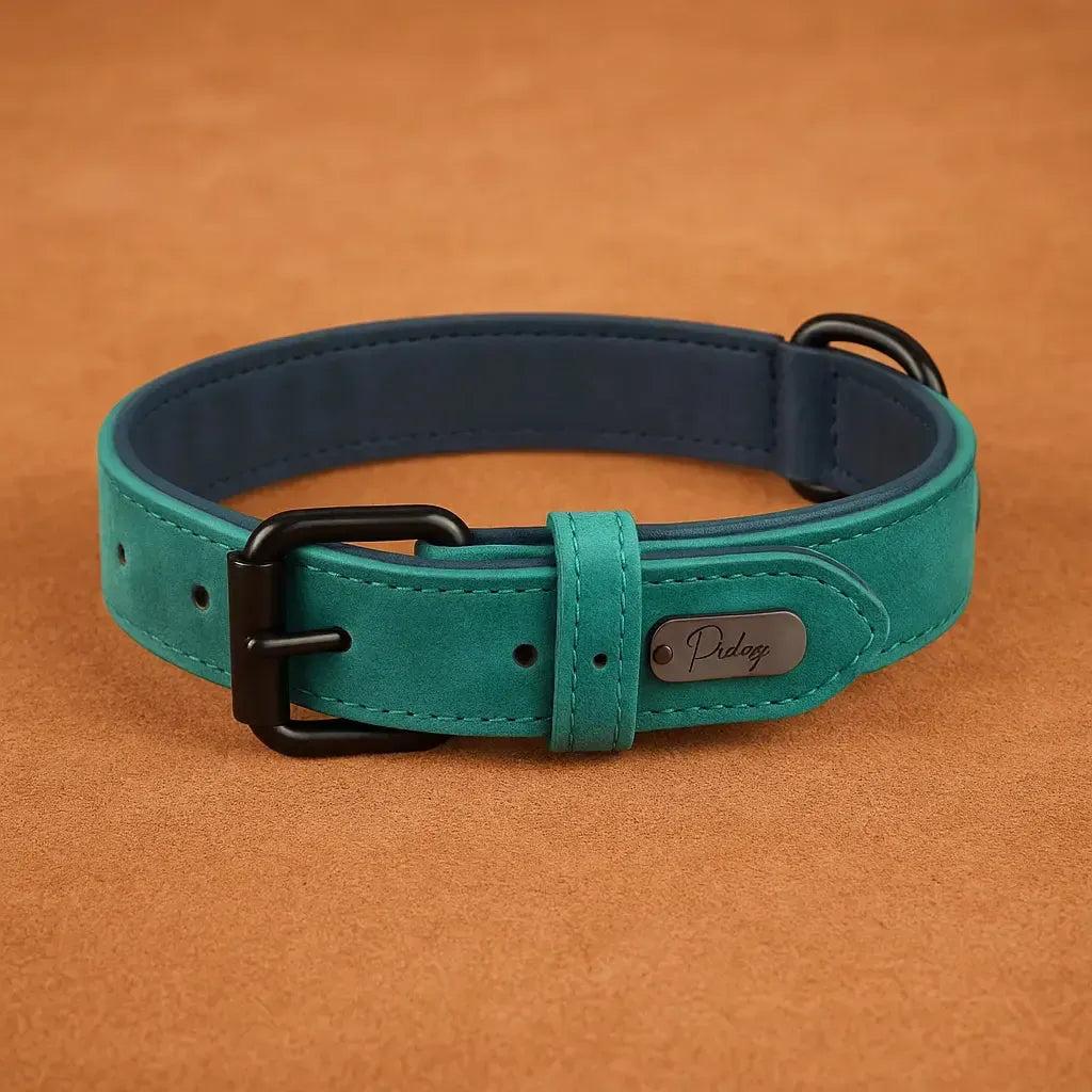 Padded Leather Dog Collar for Strong Breeds