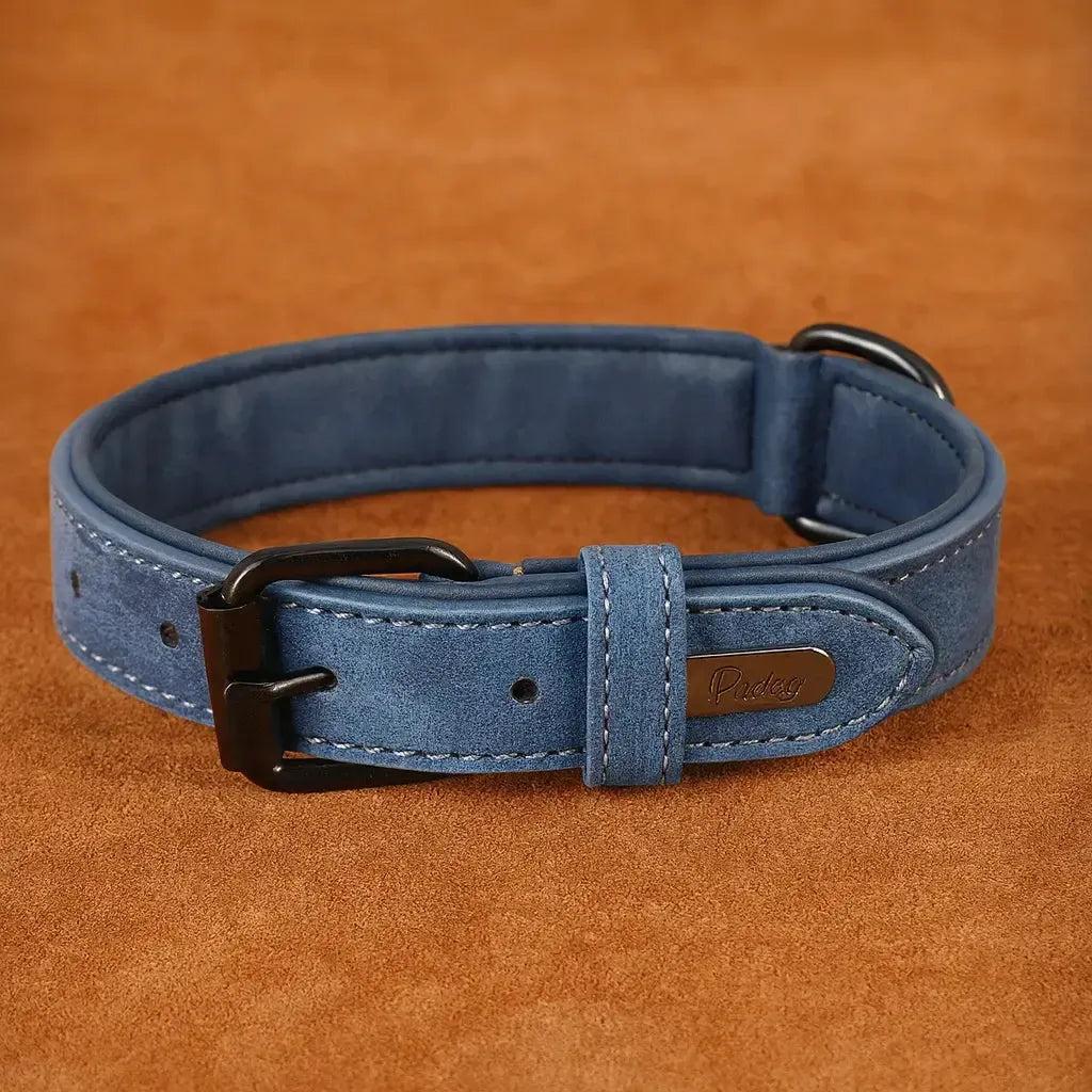 Padded Leather Dog Collar for Strong Breeds