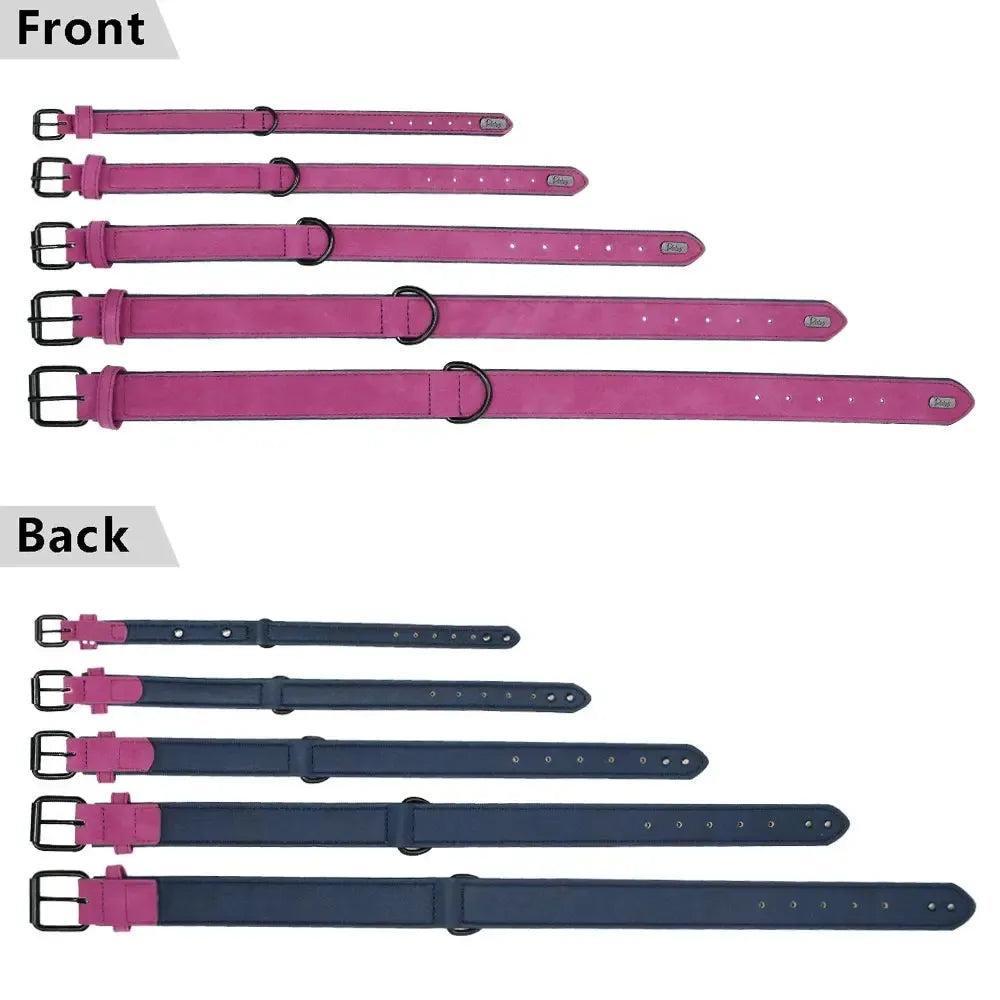 Padded Leather Dog Collar for Strong Breeds