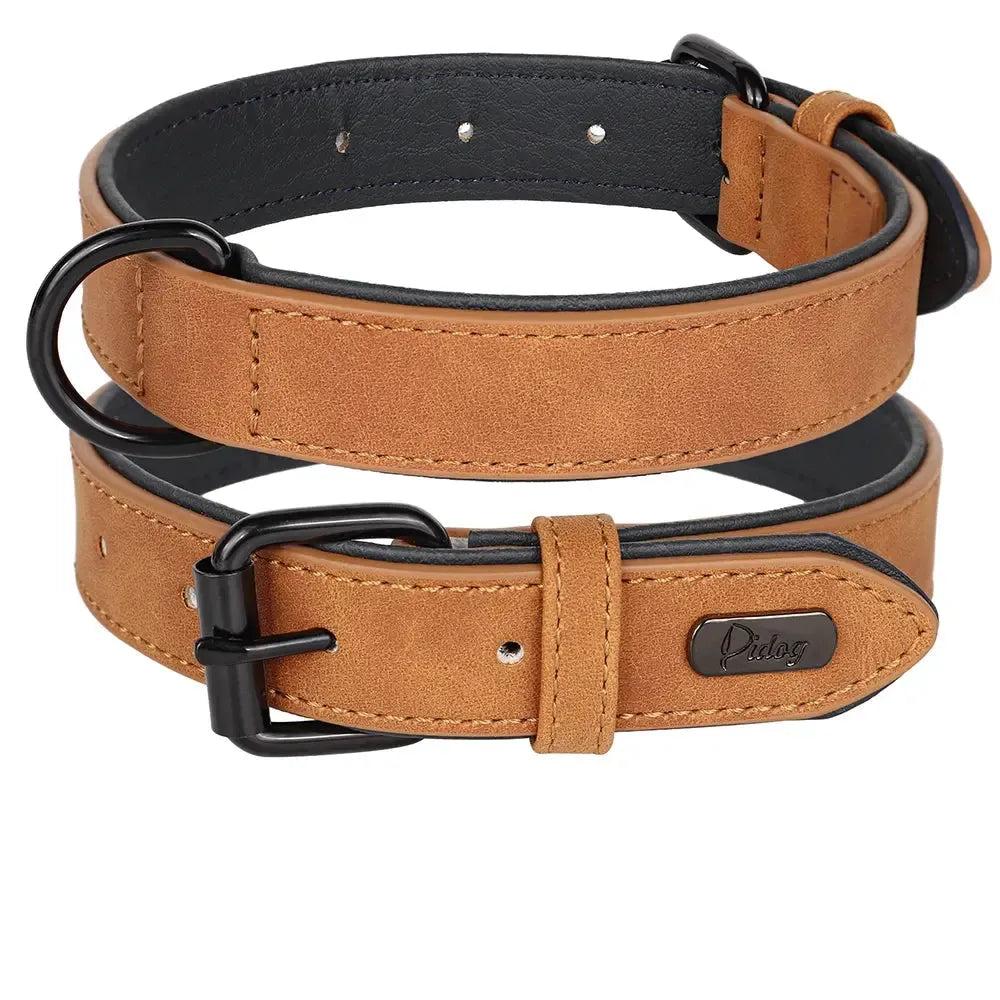 Padded Leather Dog Collar for Strong Breeds