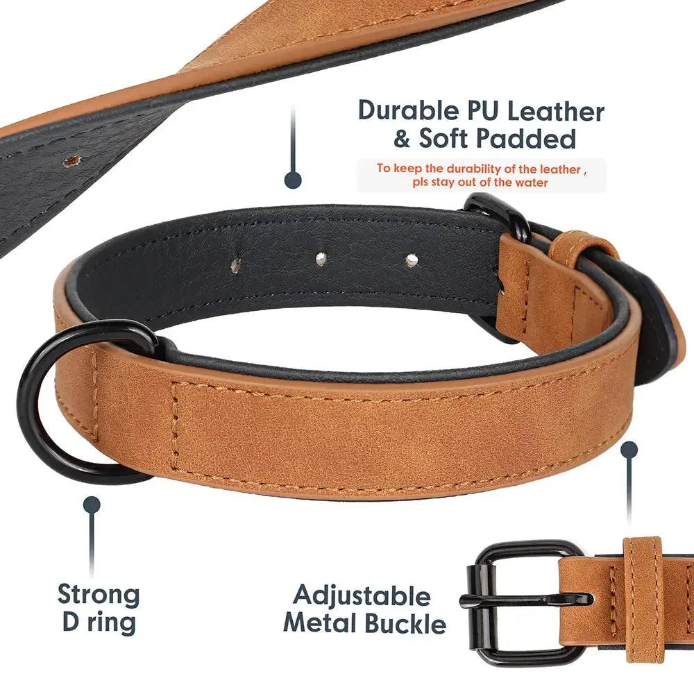 Padded Leather Dog Collar for Strong Breeds