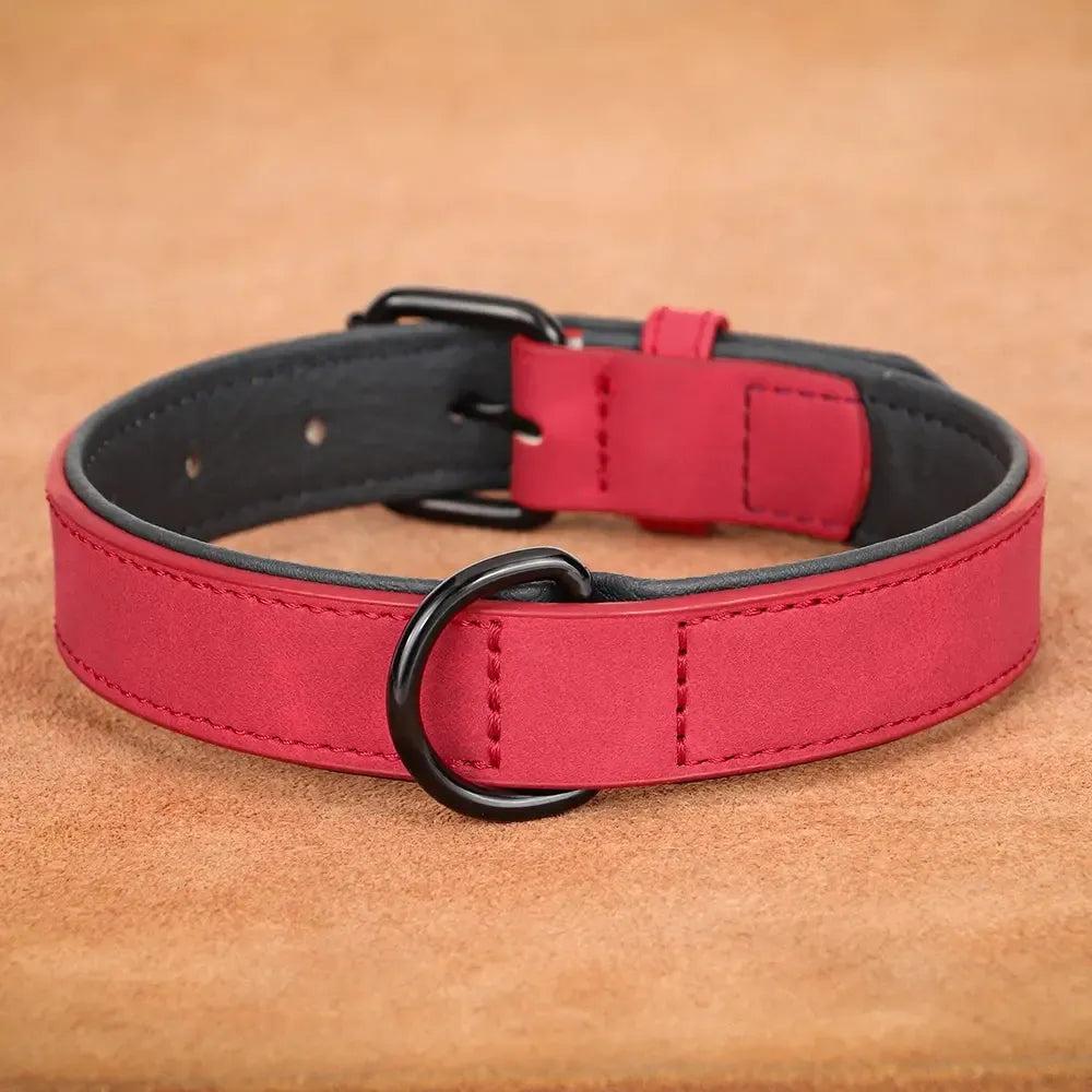 Padded Leather Dog Collar for Strong Breeds