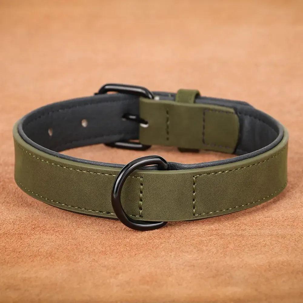 Padded Leather Dog Collar for Strong Breeds