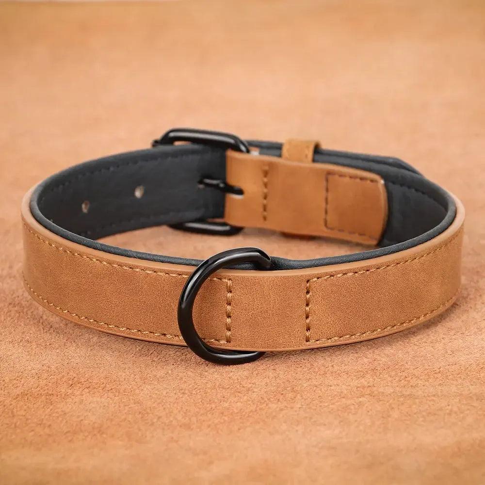 Padded Leather Dog Collar for Strong Breeds