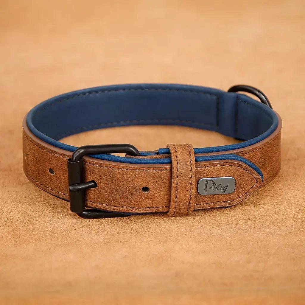 Padded Leather Dog Collar for Strong Breeds