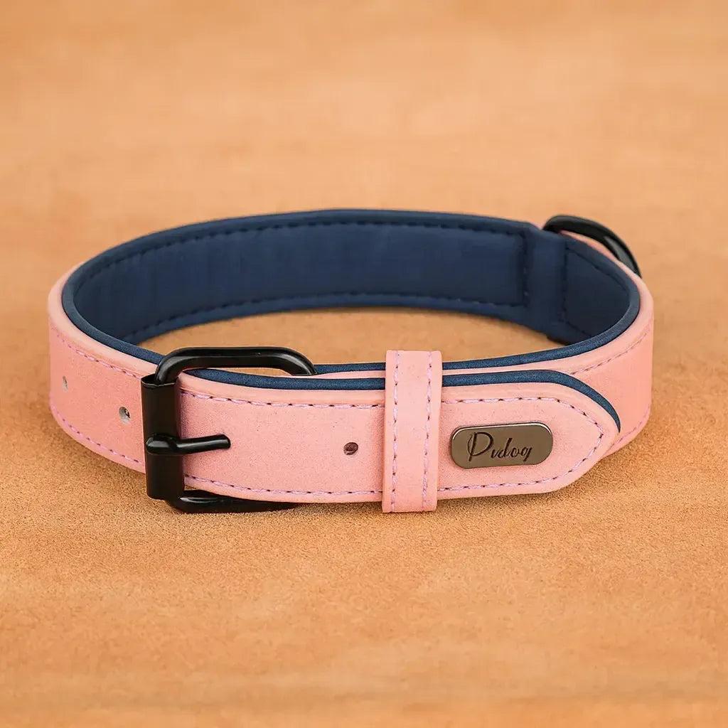 Padded Leather Dog Collar for Strong Breeds