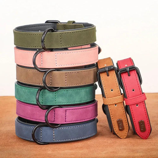 Padded Leather Dog Collar for Strong Breeds
